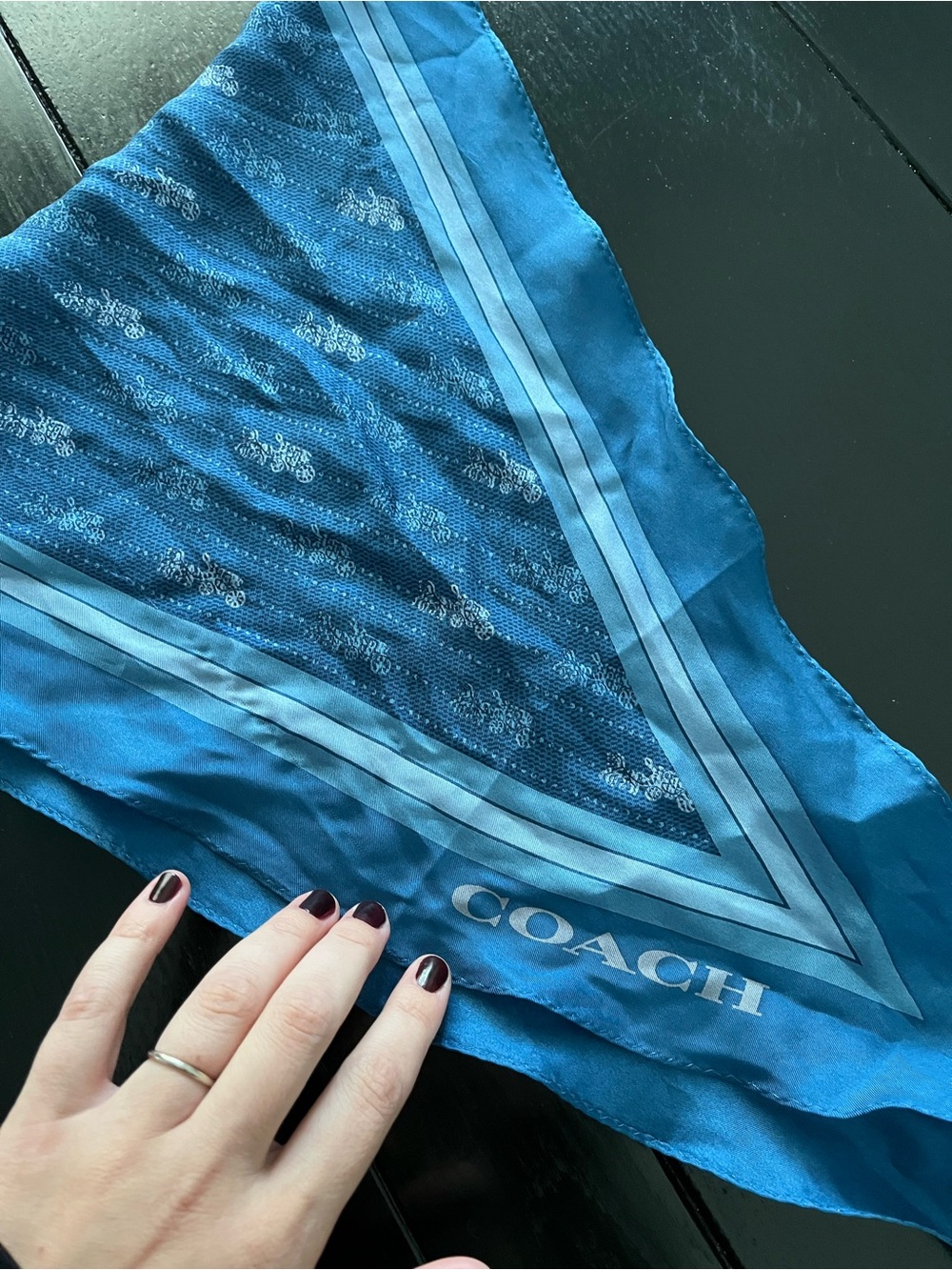 COACH Blue Logo Silk Scarf